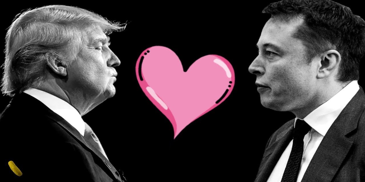 Elon Musk'ın Trump aşkı 1 milyon araç satışı kaybettirdi