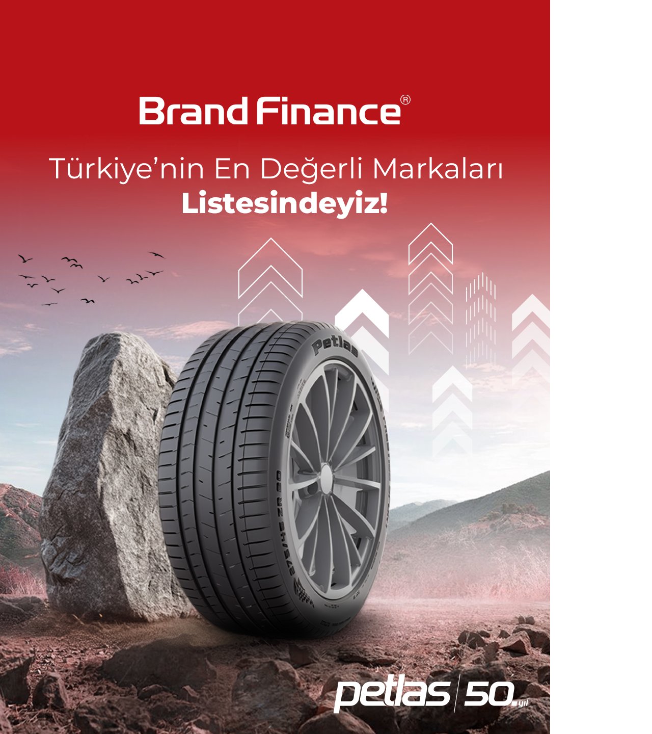 petlas-brand-finance-gorsel.png